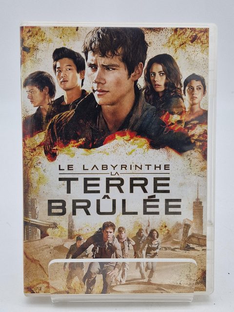 DVD Le Labyrinthe : La Terre Brûlée - photo 1