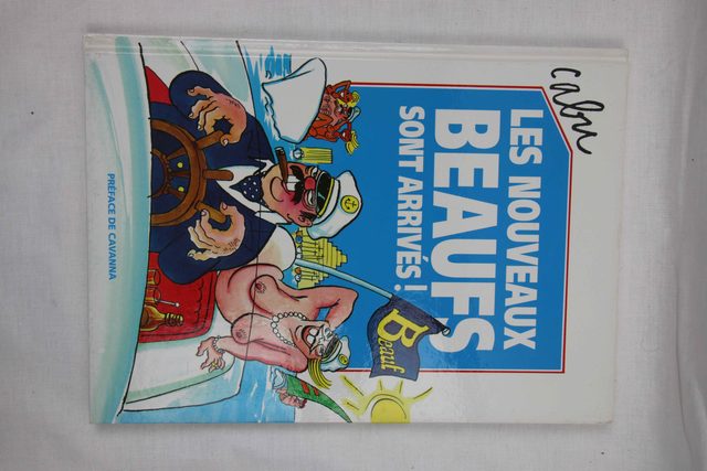 Les Nouveaux Beaufs sont arrivés ! - Livre humour - photo 1
